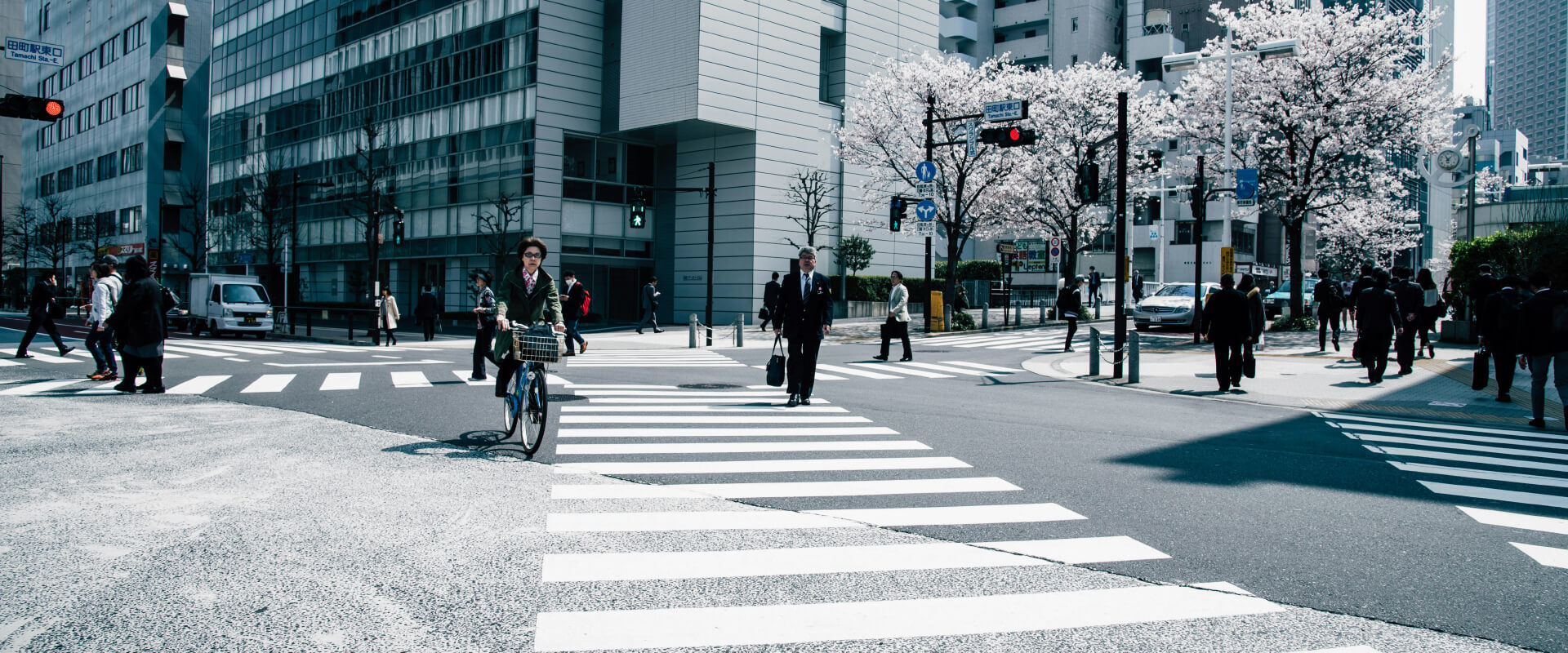 Non-Custodial USDT Wallet Guide